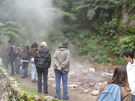 Study Visit in São Miguel island -Paço d'Arcos School (from the mainland)