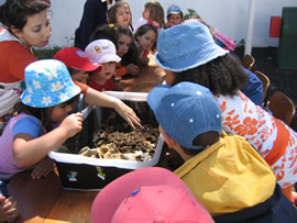 Visite scolaire Ecoteca - Vermicompostagem