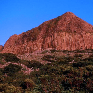 Flores - Açores