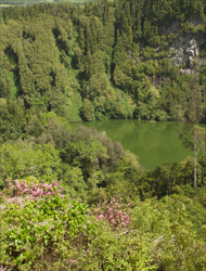 Lagoas do Congro e dos Nenúfares