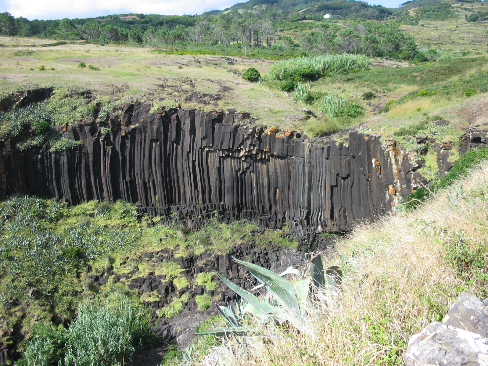 Ribeira do Maloás