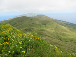 Cordilheira vulcânica central