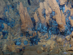 Dorsal Atlântica e Campos hidrotermais